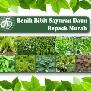 Benih Bibit Sayuran Daun Repack Murah Seribuan