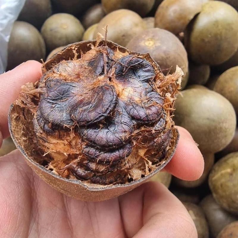La hán quả siêu to loại 35q/1kg - loại 1 già khô ngọt tự nhiên - siêu vip 5