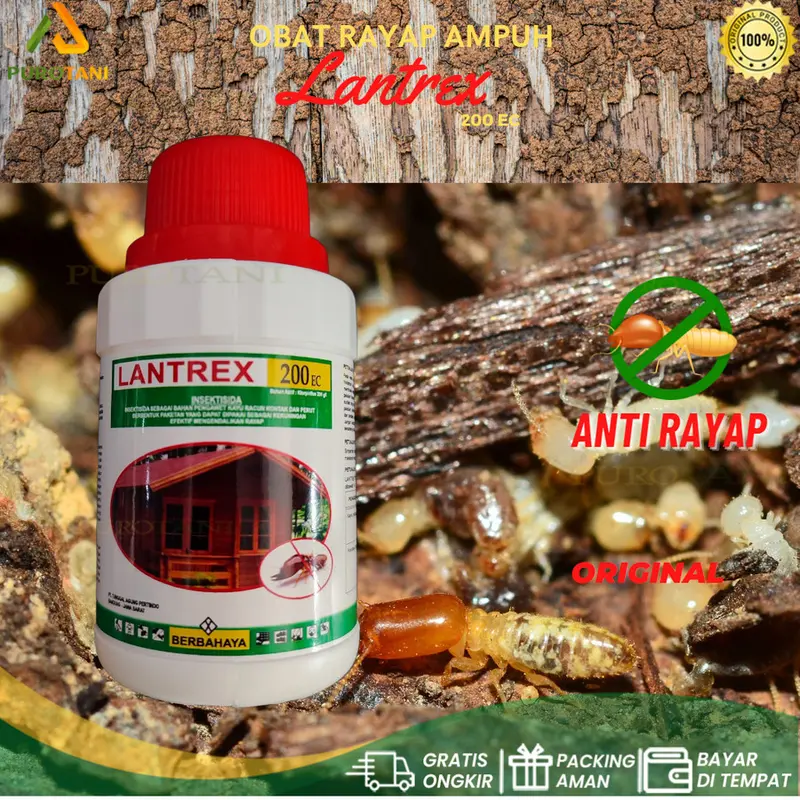 Lantrex Obat Rayap Lantrex 100ml & 200 EC 400 EC Anti Rayap Ampuh Basmi Hama Pengawet Kayu Termitisida Konsentrat Tinggi