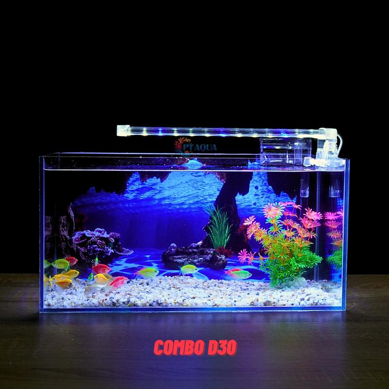 Bể cá Mini Để Bàn Có Tranh Dán Kích Thước D40cm x R20cm x C20cm Giúp Hồ Cá Đẹp Hơn