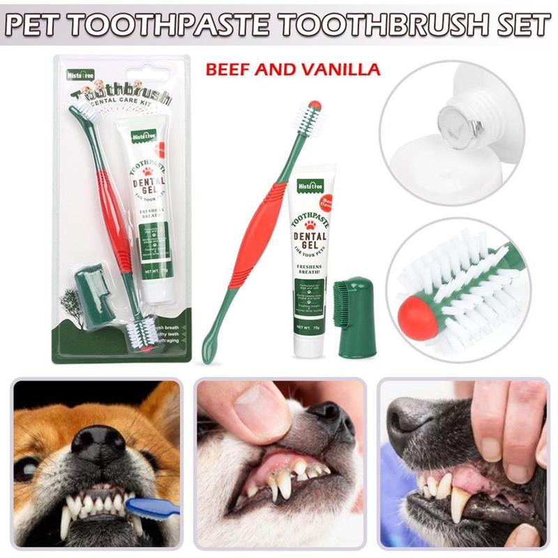 Product Introduction of 1pc Pet Toothpaste Toothbrush Set 360° Cat Dog Dental Cleaning Supplies Pet Oral Brush Clean Y2W1 31