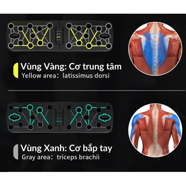 Product Introduction of Dụng cụ hít đất đa năng, đồ chống đẩy sức chịu nặng siêu khỏe tại nhà cao cấp có vạch kẻ hướng dẫn Xà Đơn Tập Luyện Tại Nhà Hiệu Quả 29