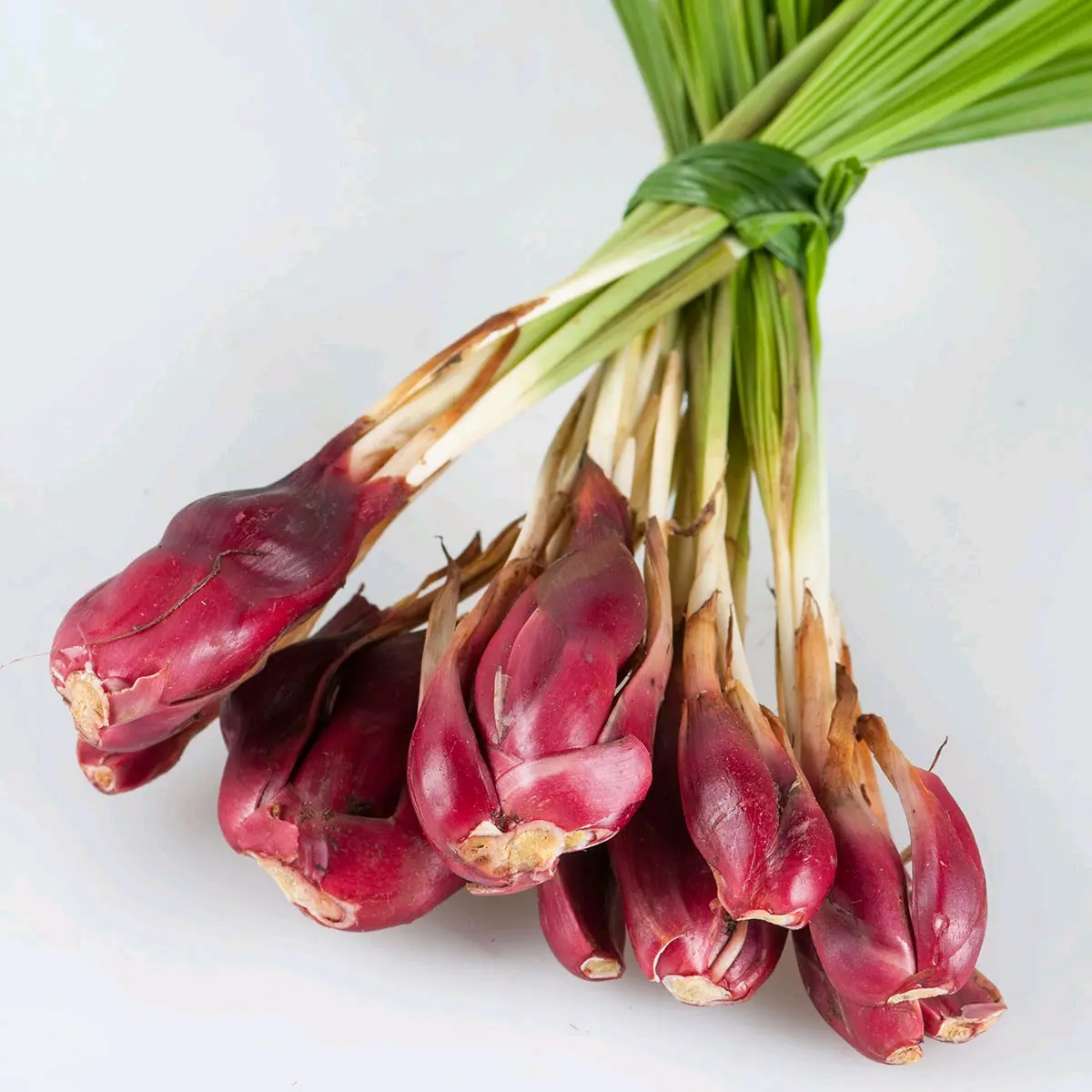 bawang Dayak per 5 biji Organik Dapur