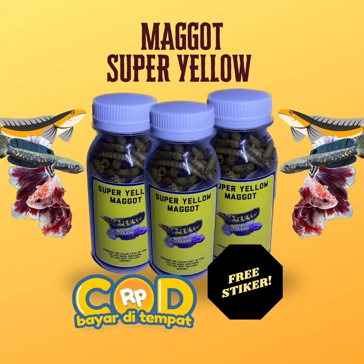 Pakan Maggot Yellow Color Premium Feed