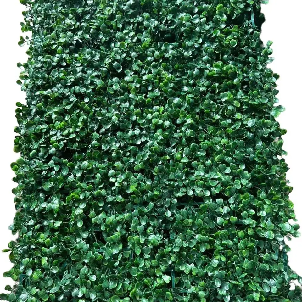 Cải xoong, Kích thước 40cm x60cm, trang trí tường, quán cà phê, nhà hàng.
