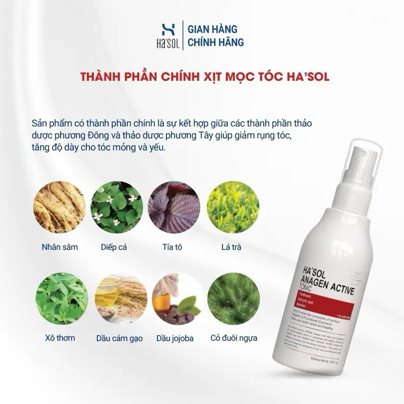 Combo Dầu Gội Volume Hair Hasol 500g + Xịt Dưỡng Tóc Hasol 100ml 3