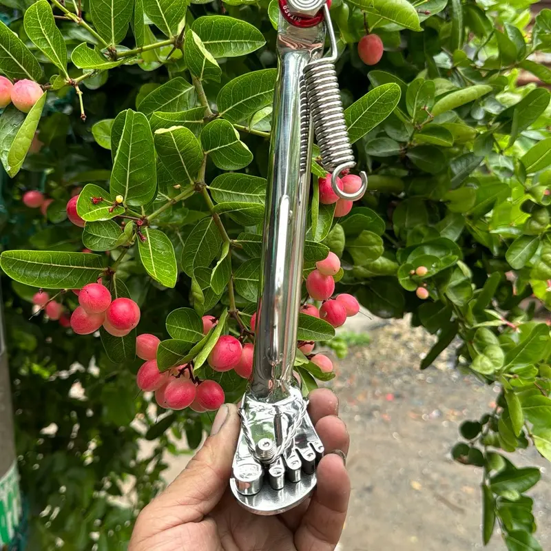 Chống bàn chân bóng gương cao cấp inox 304 - Phụ kiện phụ tùng 6