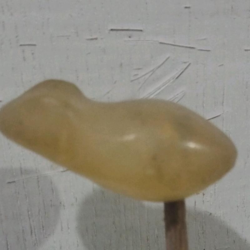 molding / cetakan untuk bikin softfrog ukuran 3,5 cm 1