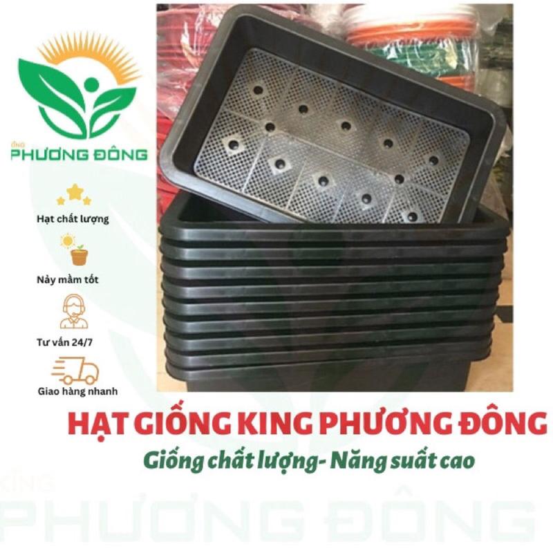 KHAY NHỰA TRỒNG RAU - kícḣ Thước 65 x 42 x 16 cm (Màu Đen) Hàng Công Ty
