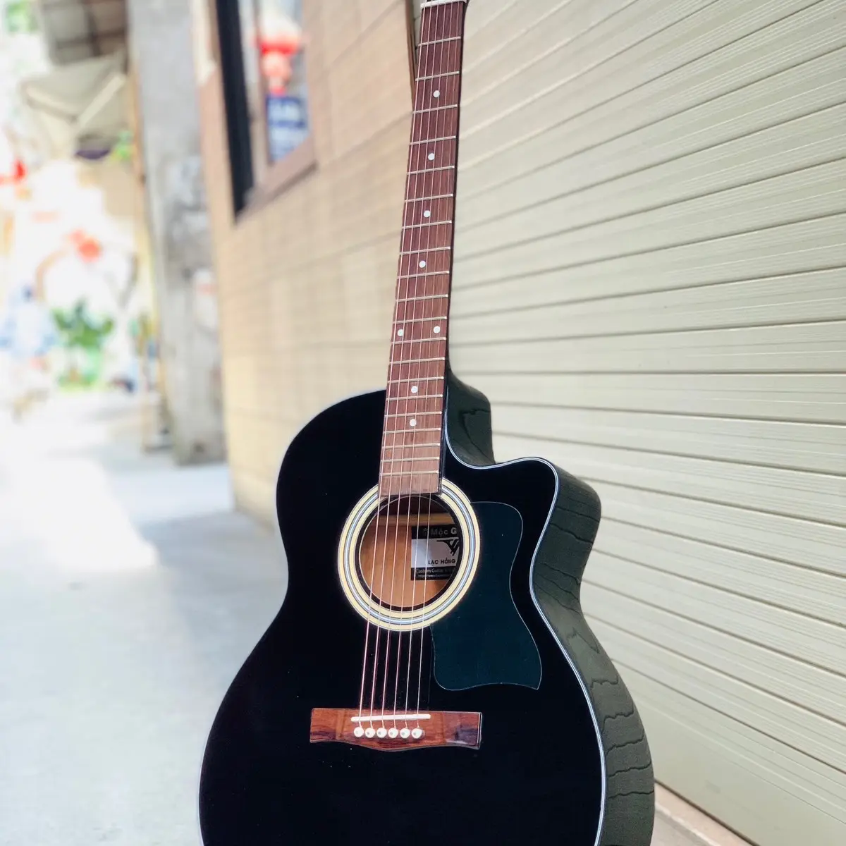 Guitar- Lac Hong AC180