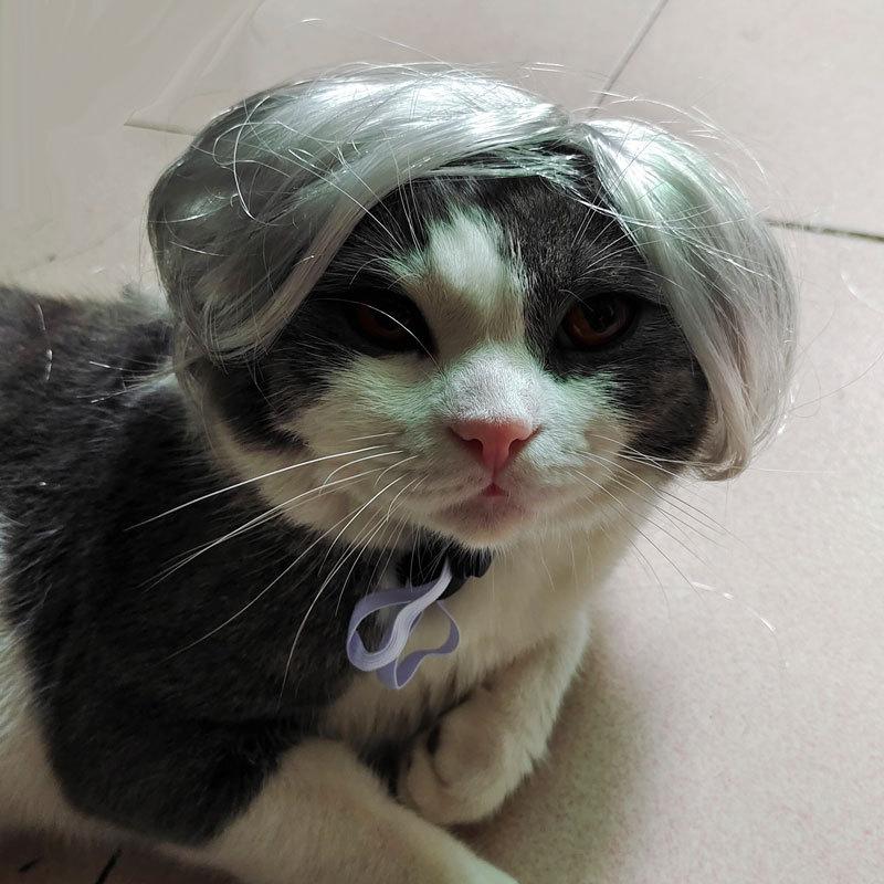 Rambut Palsu Haiwan Peliharaan, Ketibaan Baru, Warna Perak, Sesuai ...
