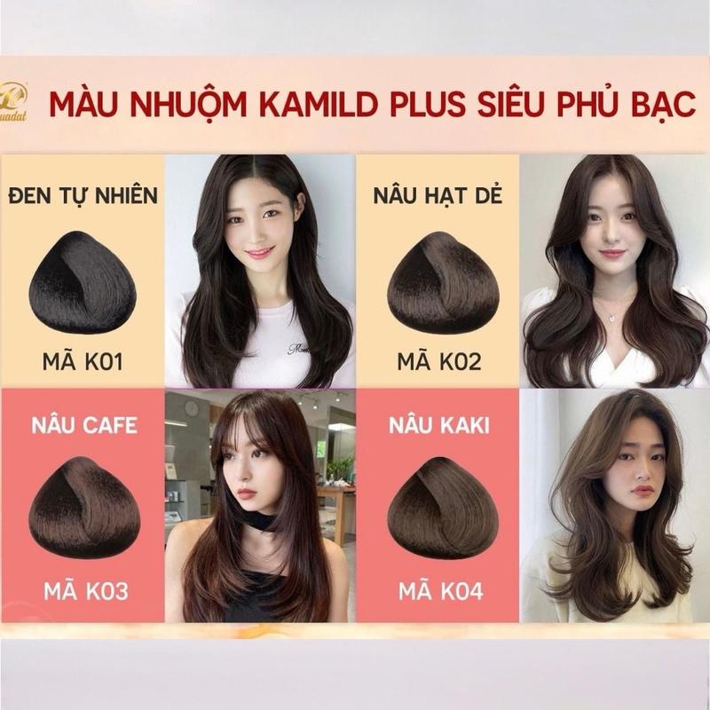 Thuốc nhuộm tóc Kami Plus siêu phủ bạc, phiên bản tiết kiệm x5 bản thông thường, không dính da đầu 500ml (Giá Salon không kèm oxy)  Đổi Màu Tóc Nữ Women Dưỡng Tóc