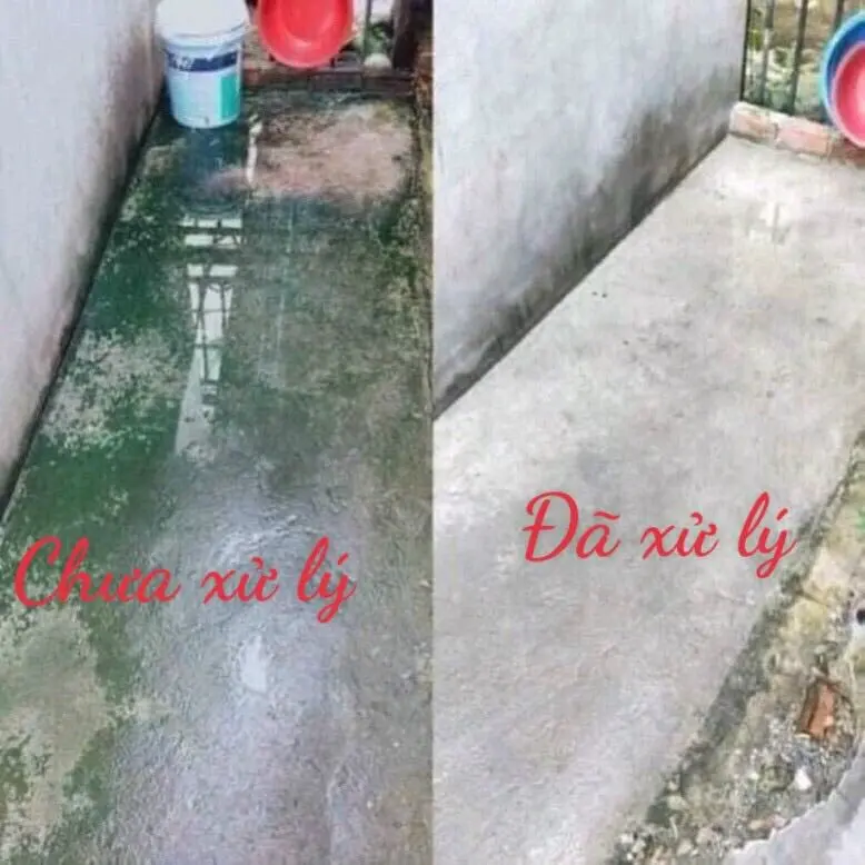 Bột Tẩy Rong Rêu Loại 1kg Khử Trùng Chuồng Trại Nền Sân Xi Măng Vĩa Hè Hồ Bơi Làm Sạch - Sản phẩm làm sạch chuyên nghiệp chai tẩy  rửa nước  tẩy nước  tẩy nước  tẩy taylong  giat bột  tẩy nước tẩy  hằng du mục bkc  diệt bột tẩy vết xước gạch men bột  tẩy 3