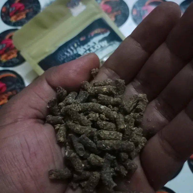Pelet Mexy Yellow by King Predator 4