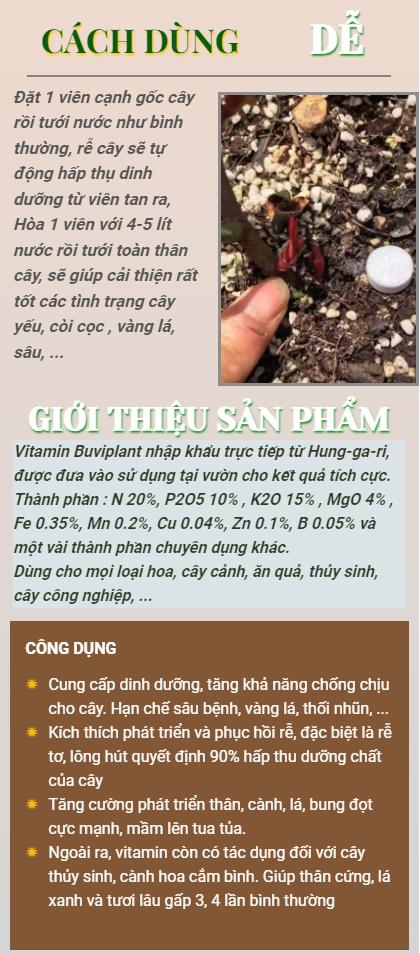Product Introduction of 200 Viên Vitamin Tổng Hợp cho Cây Cảnh giúp tăng rễ, bật mầm, nhiều hoa sinh trưởng mạnh 0