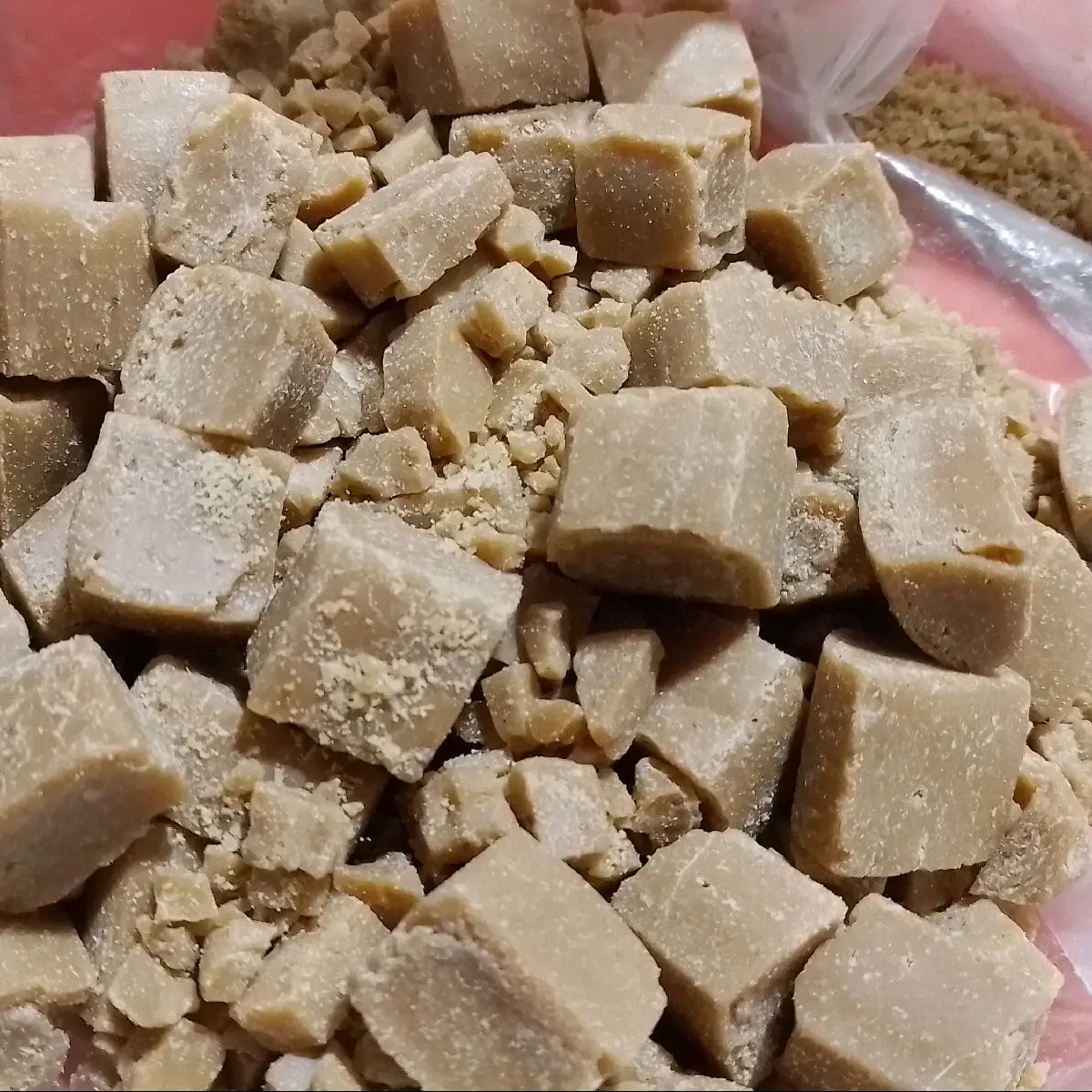 a quỳ mồi câu cá