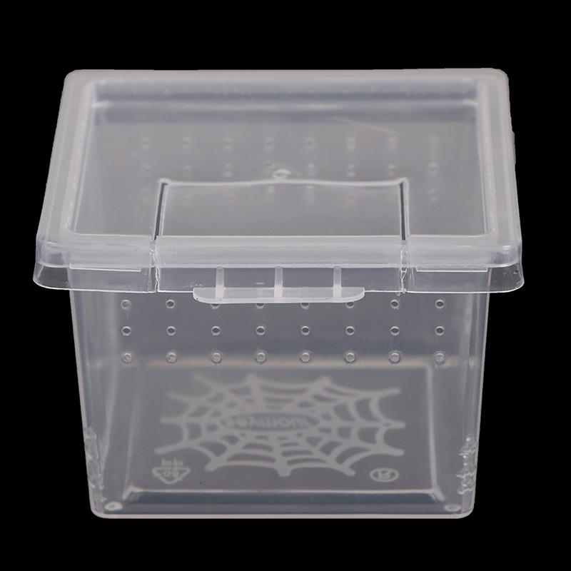 Product Introduction of Plastic Insect Spider Habitat Feeding Box Case Container Tank Transport Case Toy 16