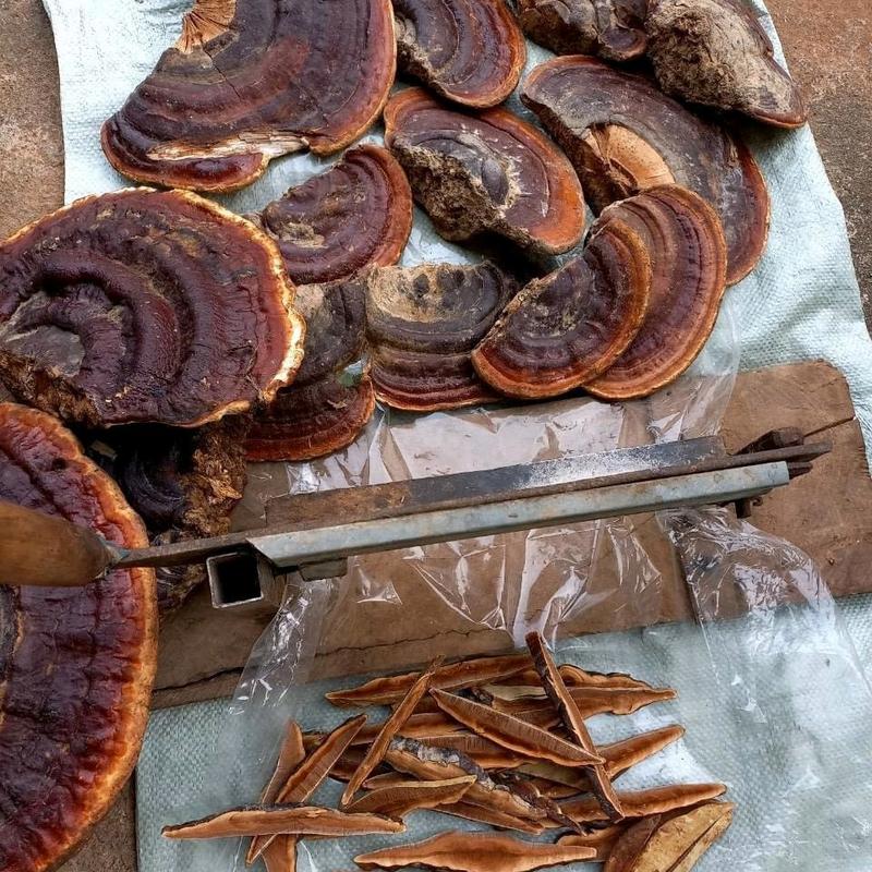 500g nấm hồng chi thái lát