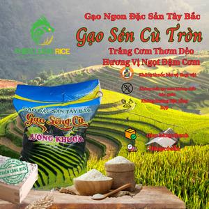 Gạo Séng Cù Tròn Mường Khương 10Kg - Đặc sản Lào Cai