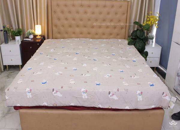 Product Introduction of Chăn hè xơ đậu nành 22