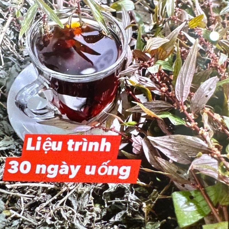 CÂY THUỐC DÒI THÂN TÍM KHÔ ( cây bọ mắm) uống 30ngày HỔ TRỢ THANH LỌC PHỔI ,LAO PHỔI ,HO , VIÊM PHỔI ,THANH NHIỆT GIẢI ĐỘC MÁT GAN (500g khô)[Shop Hồng Nhản]