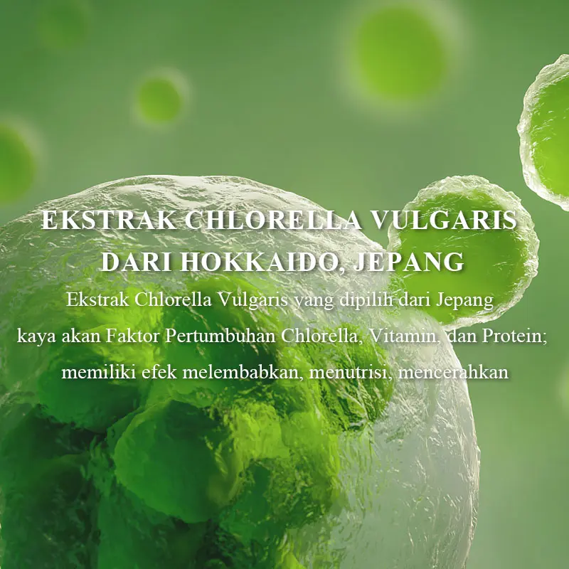 【Beli 1 Gratis 1】SHE Eureka Chlorella Exfoliating Gel Facial Glowing Blackhead Cleaner Body Exfoliating Mencerahkan Dan Mengangkat Sel Kulit Mati 2