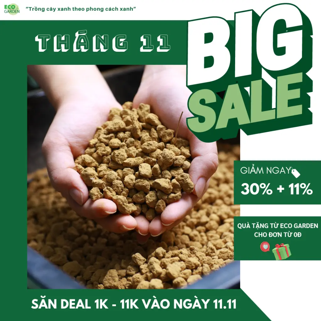 [Giảm 30%+11%] Túi 1KG - Đất sét nung - Đất Akadama size trung giúp thoát nước tốt và giữ nước ấn tượng