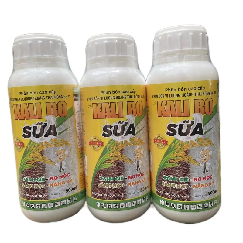 Kali Bo Sữa 500ml - to trái, lớn trái, to hạt, nặng kí, cứng cây, dày lá. 1