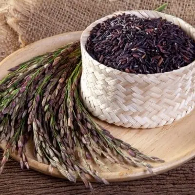 Gạo lứt đen dẻo Điện Biên, mềm dẻo ngon cơm Food