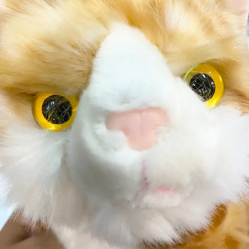 Boneka Cleo Cat 10' boneka Kucing kalung lonceng kepala nengok lucu bagus mirip asli (05020455) by seulgi Dolls Toys Mainan 7
