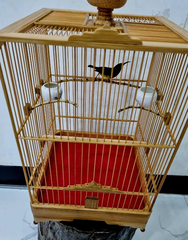 Tấm lót lồng chim hút mật 25x25cm cho lồng size 27