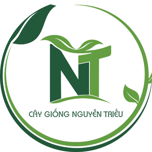 Cây Giống Nguyễn Triều