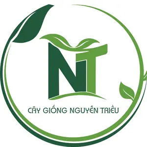 Cây Giống Nguyễn Triều