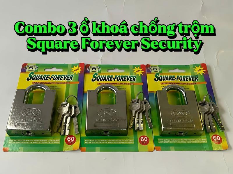 Combo 3 ổ khóa Square Forever màu bạc 60mm tùy chọn phân loại sử dụng khóa nhà, khóa cửa, khóa tủ,...