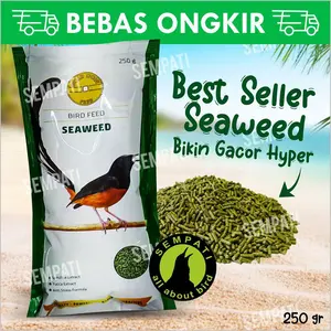 SEMPATI GOLD COIN SEAWEED 250 GR GOLDCOIN RUMPUT LAUT VOER PAKAN BURUNG GCS250