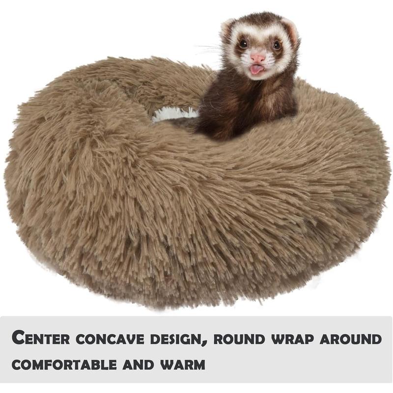 Ferret in bed hotsell