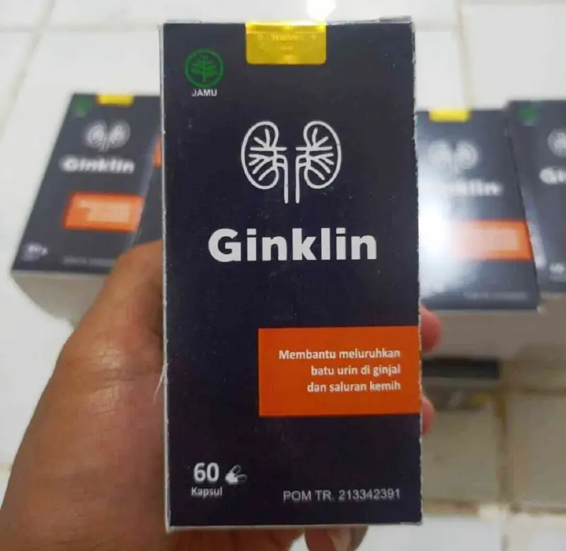 Ginklin Obat Herbal Membantu Mengatasi Batu Ginjal dan Menjaga Kesehatan Ginjal Tanpa Operasi 0
