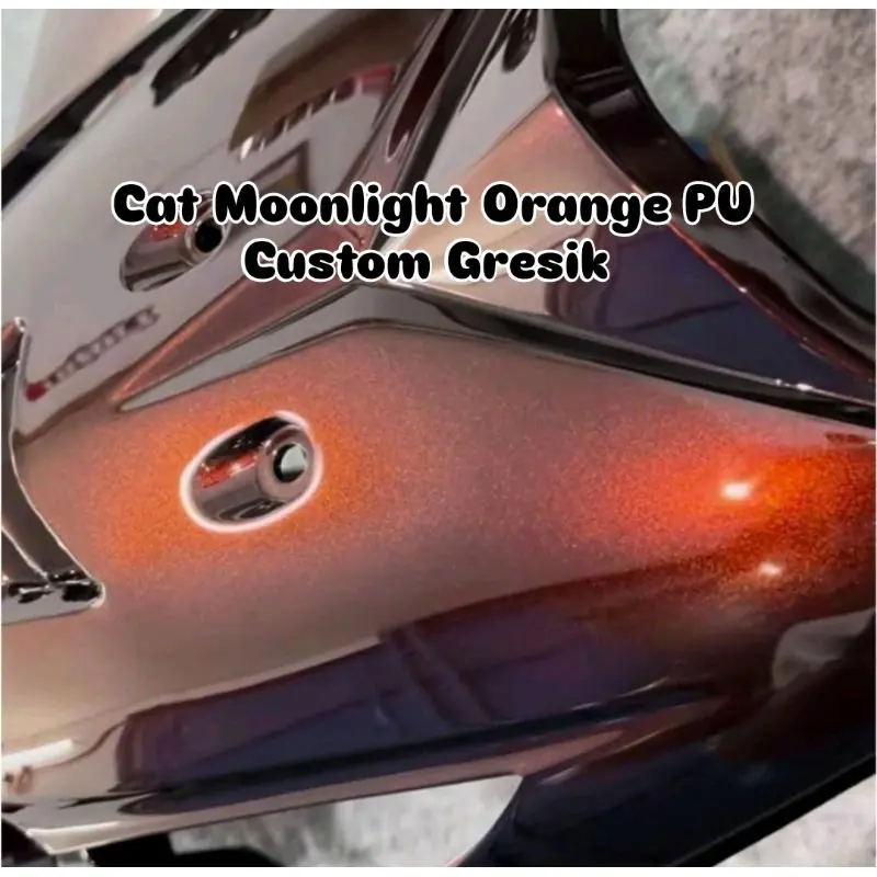 cat moonlight orange PU custom Gresik 0