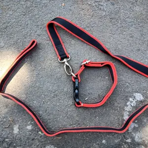 Dog Collar Leash M - Kalung Anjing Medium Plus Tali Collar Dog Kuat