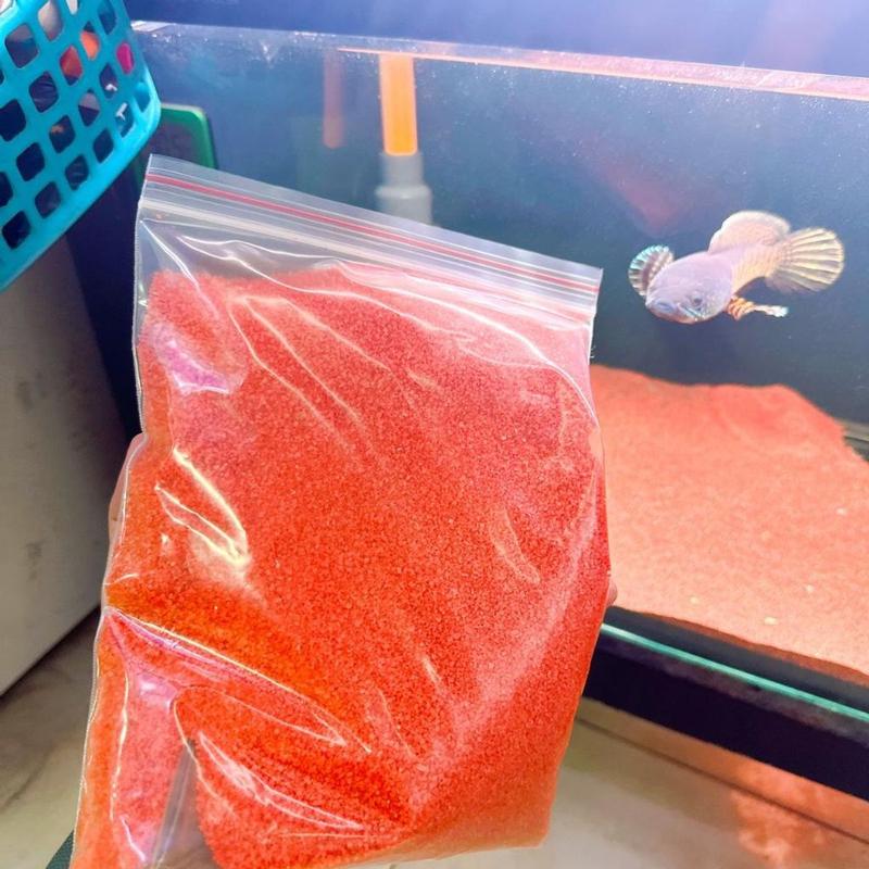Cát Đỏ Vàng Trắng Sạn Ceramic Trải Nền Hồ Cá Lóc Hồ Thủy Sinh Túi 1kg 3g