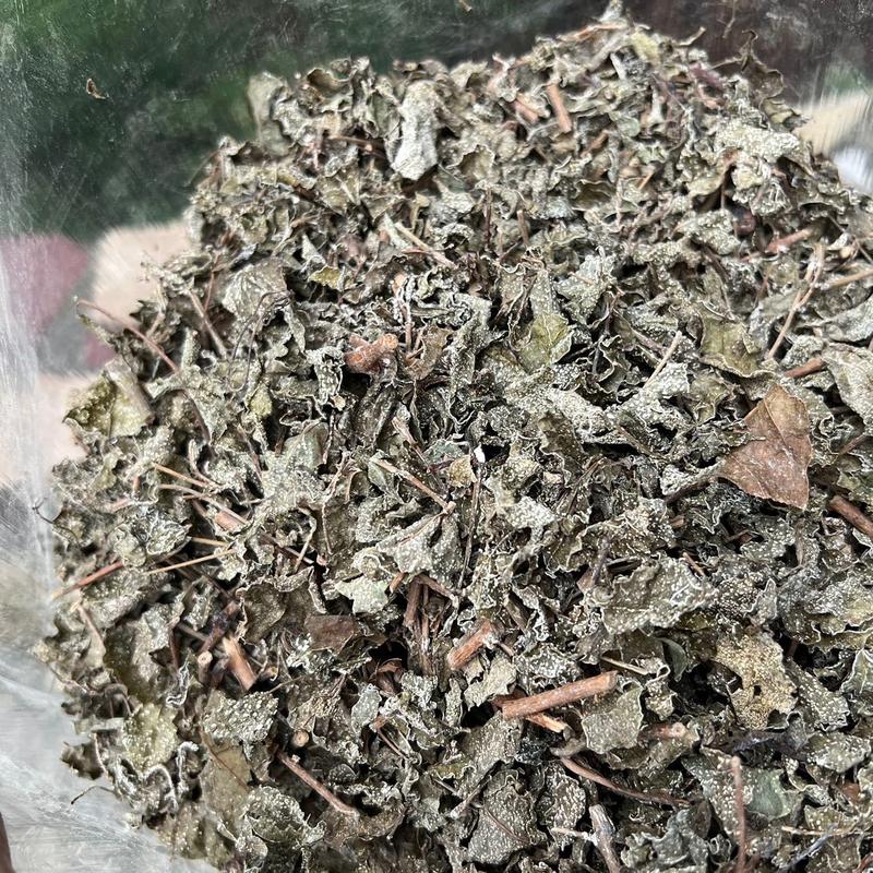 Chè Dây Cao Bằng Loại nhiều lá tuyết trắng Tea 1