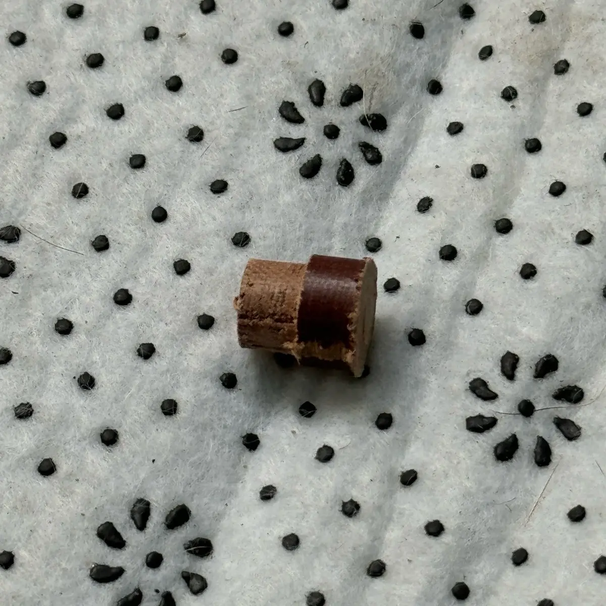 Cục gỗ thanh ty càng tăng cam wavedream