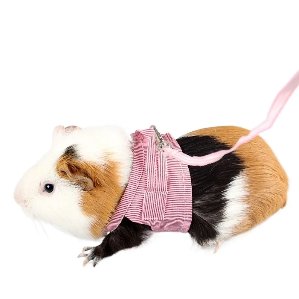 Practical Adjustable Small Pets Chest Strap Breathable High Quality Hamster Harness Leash Set Outdoor Portable Traction Rope Small Animals