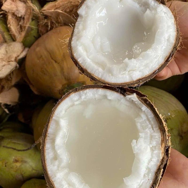 [Loại2 size Lớn ] Dừa Sáp Trà Vinh- Thực Phẩm Khô- Thức Ăn Food 2