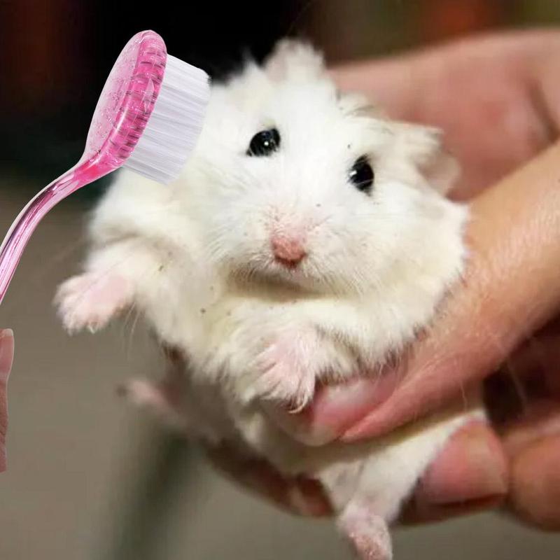 Product Introduction of Small Animal Grooming Tools Soft Small Hamster Brush Round Head Long Hair Hedgehog Bathing Brush Hamster Cleaning Brush Bath Mini Brush Bear Cleaning Comb Cleaning 10