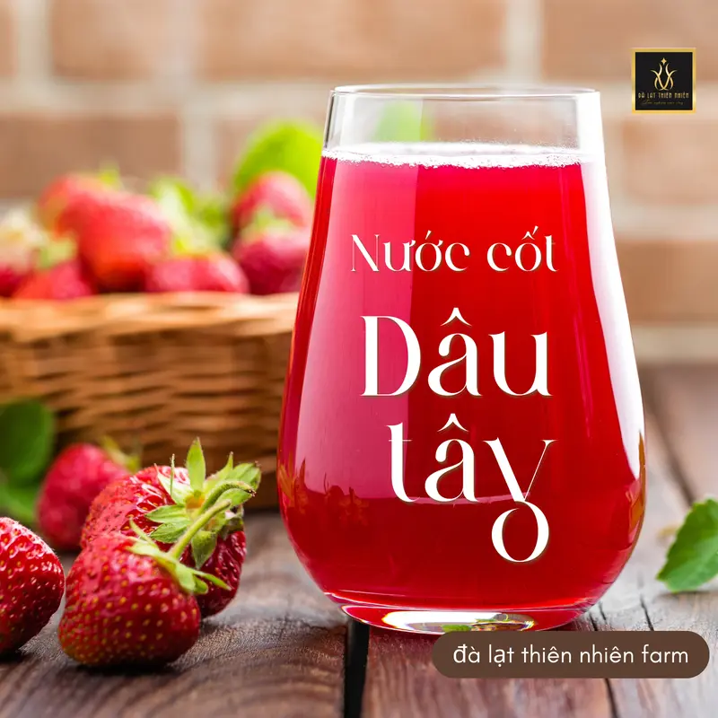 [500ml ] CHAI NƯỚC CỐT TRÁI CÂY VỊ TÙY CHỌN  - Chiết xuất từ trái dâu tây, dâu tằm, chanh dây, phúc bồn tử, dạng siro pha chế nước uống 2