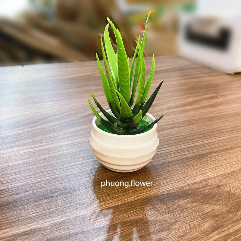 Chậu cây lô hội giả cây luoi hồ nhân tạo mini bằng nhựa để bàn trang trí nhà ở decor văn phòng nhà tắm siêu bền đẹp