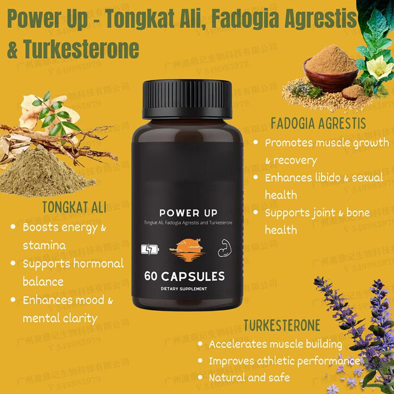 Product Introduction of Fish Oil Soft Capsule Fish Oil Softgelsepa & DHA Hot Sale Source Straight Hair Support 5
