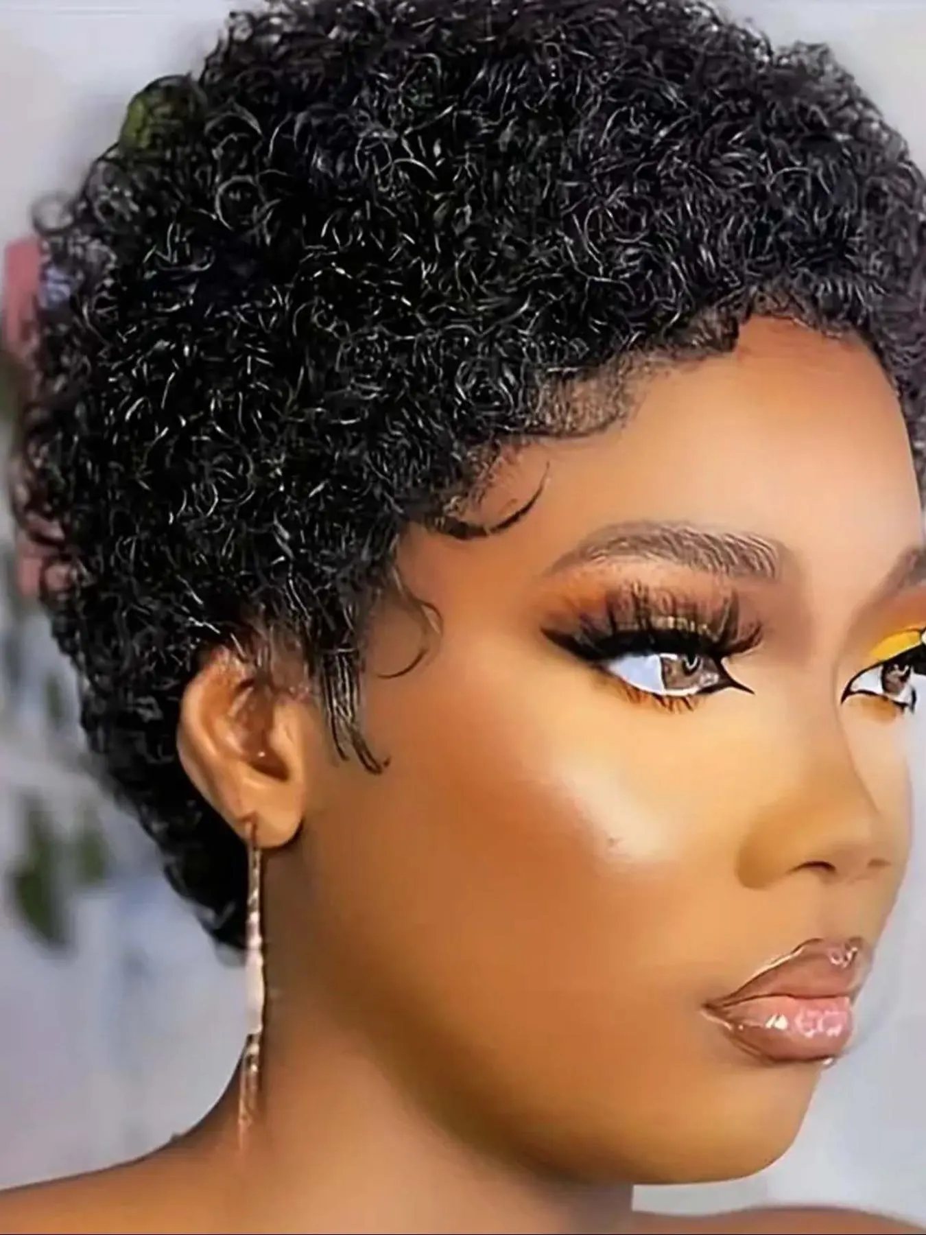 Short Curly Human Hair Wigs for Women, Gorgeous Fluffy Wigs without Bangs, Wigs for Party, Daily Use