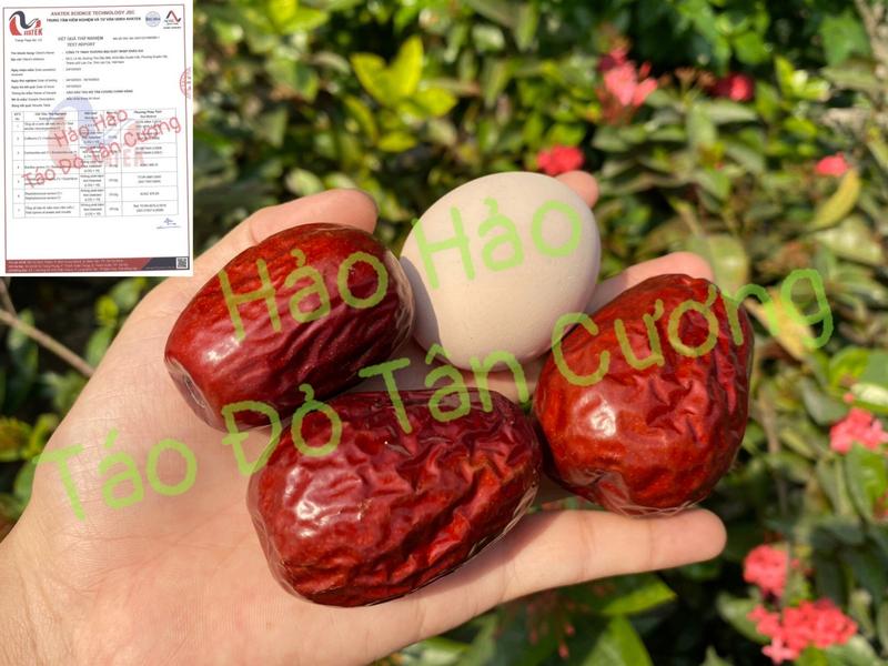 Táo Hảo Hảo size 60-70 quả /kg,Tuấn táo Hoà Điền Tân Cương , ngon , ngọt ,dẻo , vị chua nhẹ hàng vụ mới thu hoạch năm 2024 5